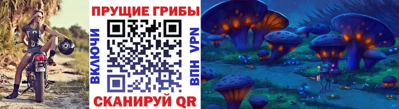Галлюциногенные грибы GOLDEN TEACHER  Ставрополь 