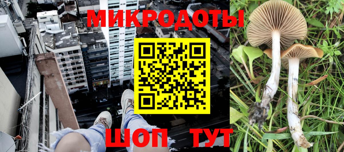Ставрополь  Галлюциногенные грибы мухоморы  Вход с VPN  Псилоцибиновые грибы прущие грибы 