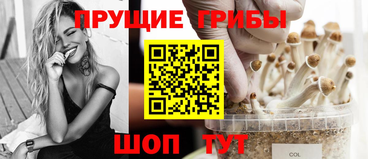 Псилоцибиновые грибы GOLDEN TEACHER Ставрополь